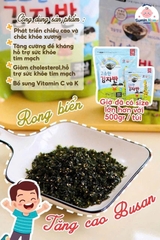 Rong biển vụn tăng chiều cao