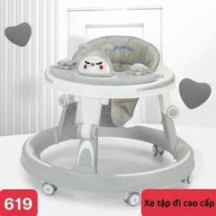 Xe tập đi tròn cao cấp