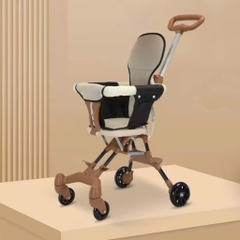 Xe đẩy gấp gọn không màn chắn(6m+)