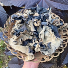 Mộc nhĩ (100g)
