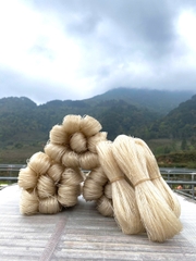 Miến dong Phia Đén (1kg)