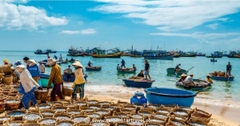 Danh Sách Các Vựa Hải Sản Mũi Né Uy Tín