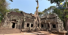 Đền Ta Prohm Campuchia: Khám Phá Ngôi Đền Rễ Cây Khổng Lồ