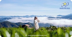 Đồi Chè Cầu Đất Đà Lạt – Check-in, săn mây và trải nghiệm hấp dẫn