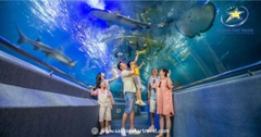 Kinh Nghiệm Đi Vinpearl Land Nha Trang: Hướng Dẫn Chi Tiết Cho Du Khách