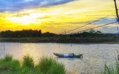 Kinh nghiệm du lịch Quảng Ngãi chi tiết nhất