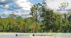 Vườn Quốc Gia Yok Đôn - Khám Phá Thiên Nhiên Hoang Dã Và Văn Hóa Độc Đáo