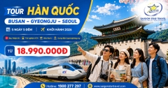 Tour Hàn Quốc 5N5Đ: Busan – Gyeongju – Seoul – Đảo Nami