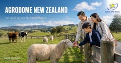 Tour New Zealand Đảo Bắc 7N6Đ: Auckland – Waitomo – Rotorua – Hobbiton