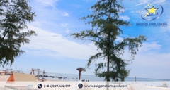 Tour Bình Châu Hồ Cốc 3 Ngày 2 Đêm | Tắm Khoáng - Nghỉ Dưỡng Resort - Lịch Trình Hấp Dẫn