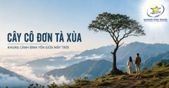 Tour Mù Cang Chải - Tú Lệ - Tà Xùa 3 Ngày 3 Đêm Từ TpHCM | Bao Vé Máy Bay