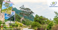 Tour Du Lịch Nam Du 2 Ngày 2 Đêm – Vi Vu Biển Đảo Phía Nam