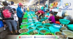 Tour Cần Giờ 1 Ngày | Đảo Khỉ - Rừng Sác - Biển 30/4 - Chợ Hải Sản Giá Rẻ