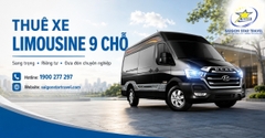 Thuê Xe Limousine 9 Chỗ Tại TpHCM - Xe Sang, Riêng Tư, Có Tài Xế