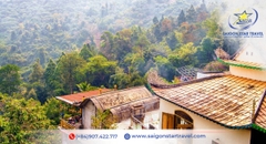 Tour Núi Chứa Chan 1 Ngày Từ TpHCM | Trekking Gia Lào, Săn Mây, Check-in Đỉnh Núi