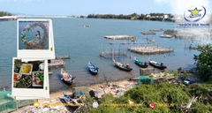 Tour Du Lịch Phú Yên Bằng Xe Lửa 3 Ngày 3 Đêm| Khám Phá Vẻ Đẹp Hoang Sơ Xứ Nẫu