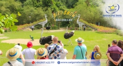 Vé Đảo Hoa Lan Nha Trang 2026 | Bảng Giá Giờ Tàu | Saigon Star Travel
