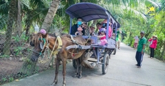 Tour Tết Miền Tây 3 Ngày 2 Đêm 2025 - Tour Tết Giá Ưu Đãi