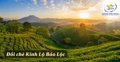 Tour Bảo Lộc 2 Ngày 2 Đêm Từ TpHCM Cho Nhóm Đi Riêng | Nghỉ Dưỡng Tea Resort