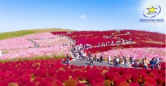Tour Nhật Bản Mùa Thu 4N4Đ | Tokyo - Phú Sĩ - Ibaraki Từ TpHCM