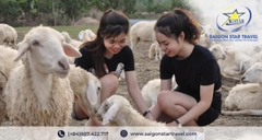 Tour Hồ Tràm 3 Ngày 2 Đêm | Resort Cao Cấp, Tắm Biển, Khoáng Nóng Và Check-in Điểm Hot