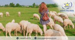 Tour Long Hải 3 Ngày 2 Đêm | Nghỉ Dưỡng Resort - Biển Xanh Cát Trắng