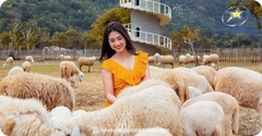 Combo Du Lịch Đảo Bình Ba - Vịnh Vĩnh Hy
