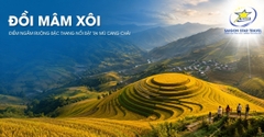 Tour Mù Cang Chải - Tú Lệ - Sapa 3 Ngày 3 Đêm Từ TpHCM | Bao Vé Máy Bay