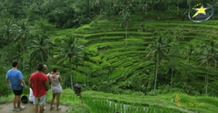 Tour Du Lịch Bali 4 Ngày 3 Đêm - BBQ Hải Sản Tại Biển Jimbaran