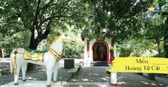 Tour Du Lịch Côn Đảo Huyền Thoại 3N3Đ - Xe Giường Nằm