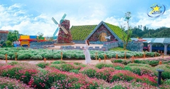 Tour Tết Đà Lạt 3 Ngày 3 Đêm