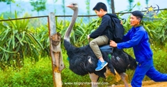 Tour Samten Hill Đà Lạt Trong Ngày Hot Nhất 2025