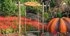 Vé Fairytale Land - Làng Cổ Tích