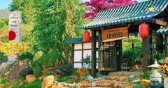 Tour Điện Gió Cầu Đất Đà Lạt Trong Ngày
