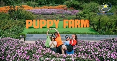Tour Sở Thú Zoodoo Đà Lạt Trong Ngày Năm 2025