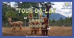 Tour Sở Thú Zoodoo Đà Lạt Trong Ngày Năm 2025