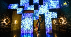 Vé Vườn Ánh Sáng Lumiere Đà Lạt