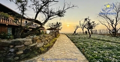 Tour HOT Đà Lạt Trong Ngày Năm 2025