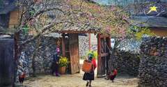 Tour Hà Giang Cao Bằng 5N4Đ Tết Nguyên Đán