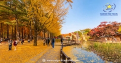 Tour Du Lịch Hàn Quốc 5N4Đ – Seoul – Đảo Nami – Tháp Nam San