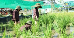 Tour Ngoại Khóa Green Park Củ Chi