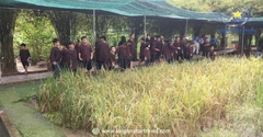 Tour Dã Ngoại Happy Farm 1 Ngày
