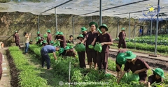 Tour Nông Trại Về Quê Củ Chi