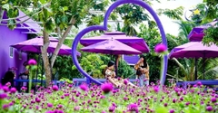Tour Bến Tre Cần Thơ 2 Ngày 1 Đêm | Mỹ Tho - Bến Tre - Cần Thơ