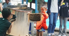 Tour Tết Miền Tây 3 Ngày 2 Đêm 2025 - Tour Tết Giá Ưu Đãi