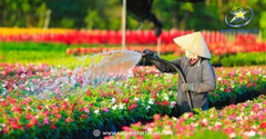 Tour Du Lịch Miền Tây 5 Ngày 4 Đêm - Khám Phá 8 Tỉnh Miền Tây