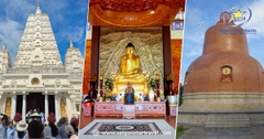 Tour Đồng Tháp Lễ 30/4 2 Ngày 1 Đêm: Khám Phá Xứ Sen Hồng