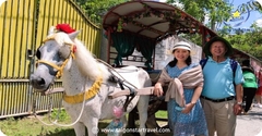 Tour Mỹ Tho Bến Tre 1 Ngày - Vi Vu Sông Nước Miền Tây