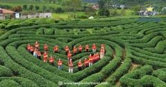 Tour Hà Nội - Hạ Long - Ninh Bình - Mộc Châu - Mai Châu 5N4Đ