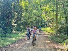 Tour Rừng Già Nam Cát Tiên 2 Ngày 1 Đêm | Treking Cây Tung Cổ Thụ - Cây Đa Lộc Giao